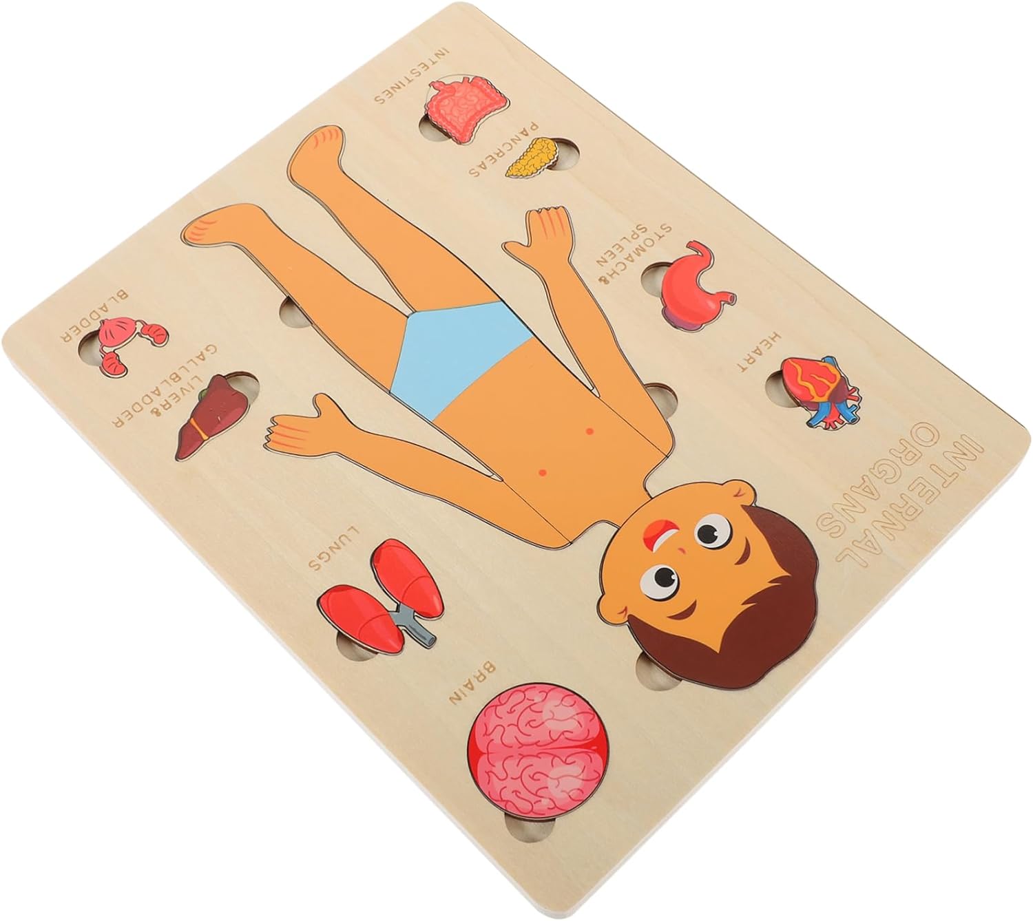 Explora el Cuerpo Humano: Puzzle Anatómico Montessori (Niño)