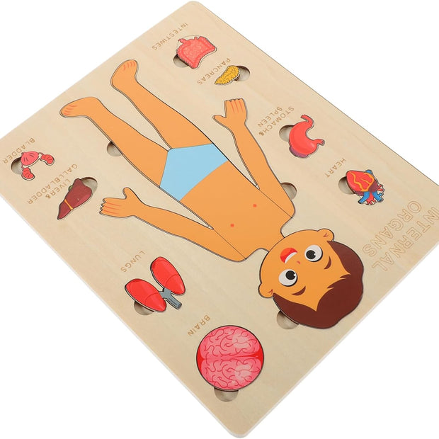 Explora el Cuerpo Humano: Puzzle Anatómico Montessori (Niño)