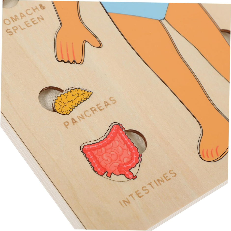 Explora el Cuerpo Humano: Puzzle Anatómico Montessori (Niño)