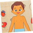 Explora el Cuerpo Humano: Puzzle Anatómico Montessori (Niño)