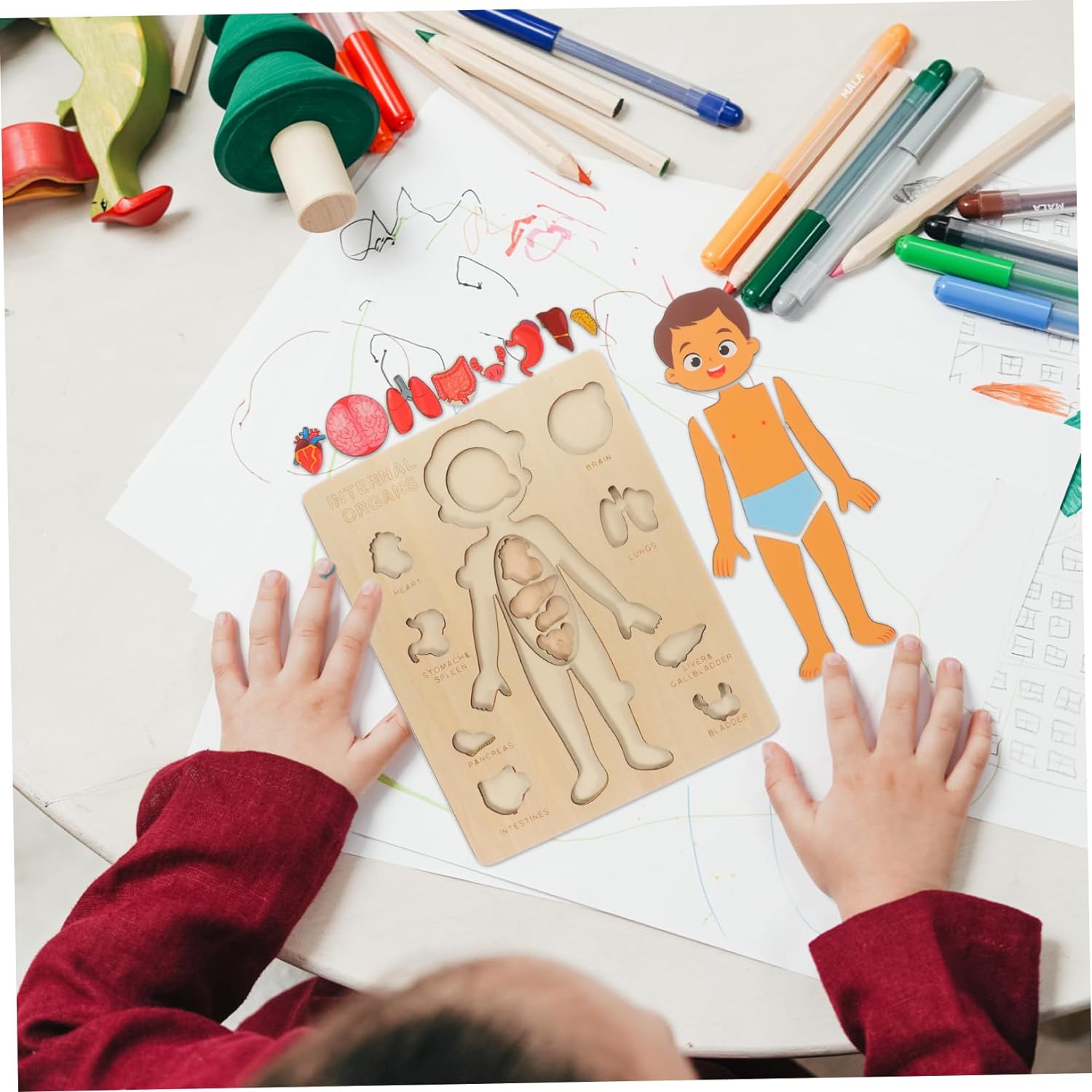 Explora el Cuerpo Humano: Puzzle Anatómico Montessori (Niño)