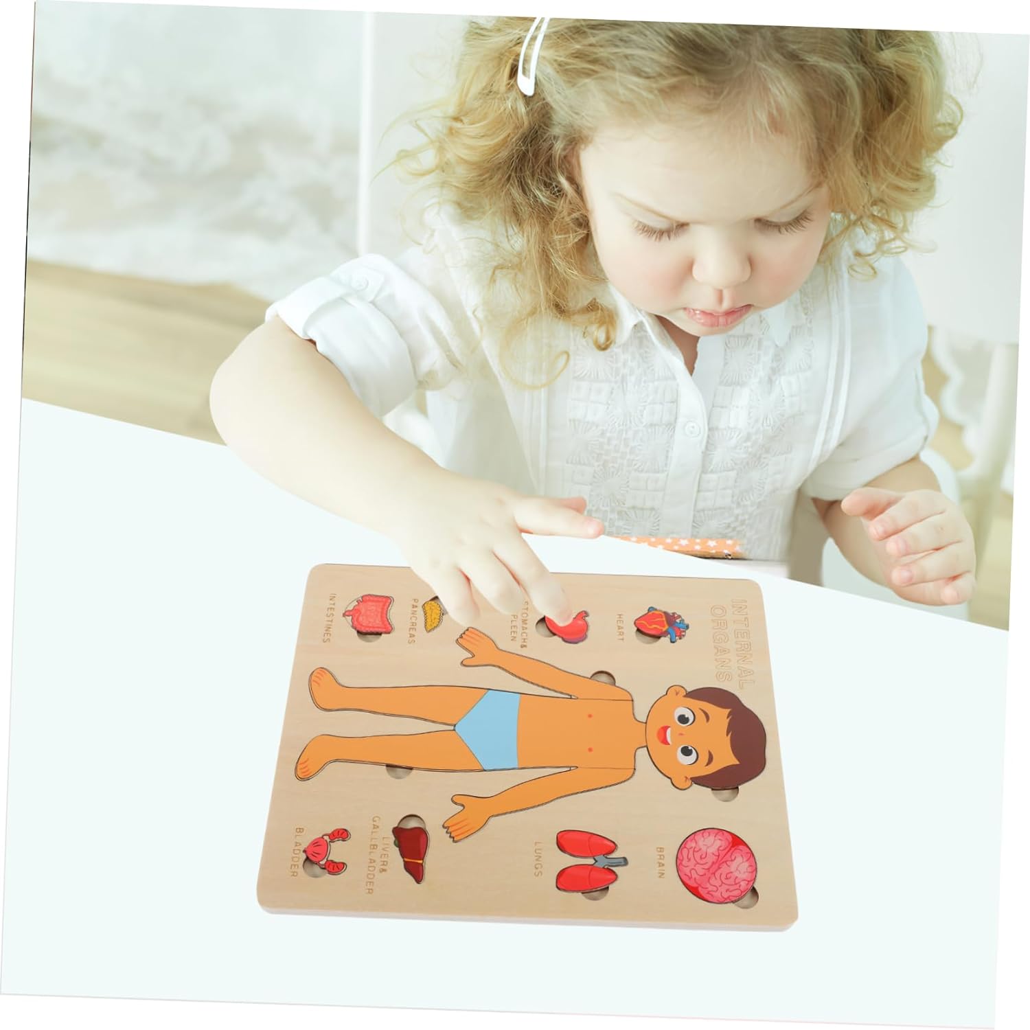 Explora el Cuerpo Humano: Puzzle Anatómico Montessori (Niño)