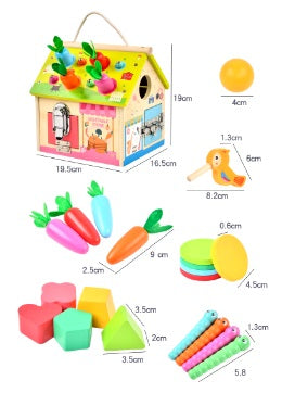 Busy House – Cosecha de Colores