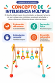 Gimnasio de Actividades de Madera – Mis Primeros Descubrimientos