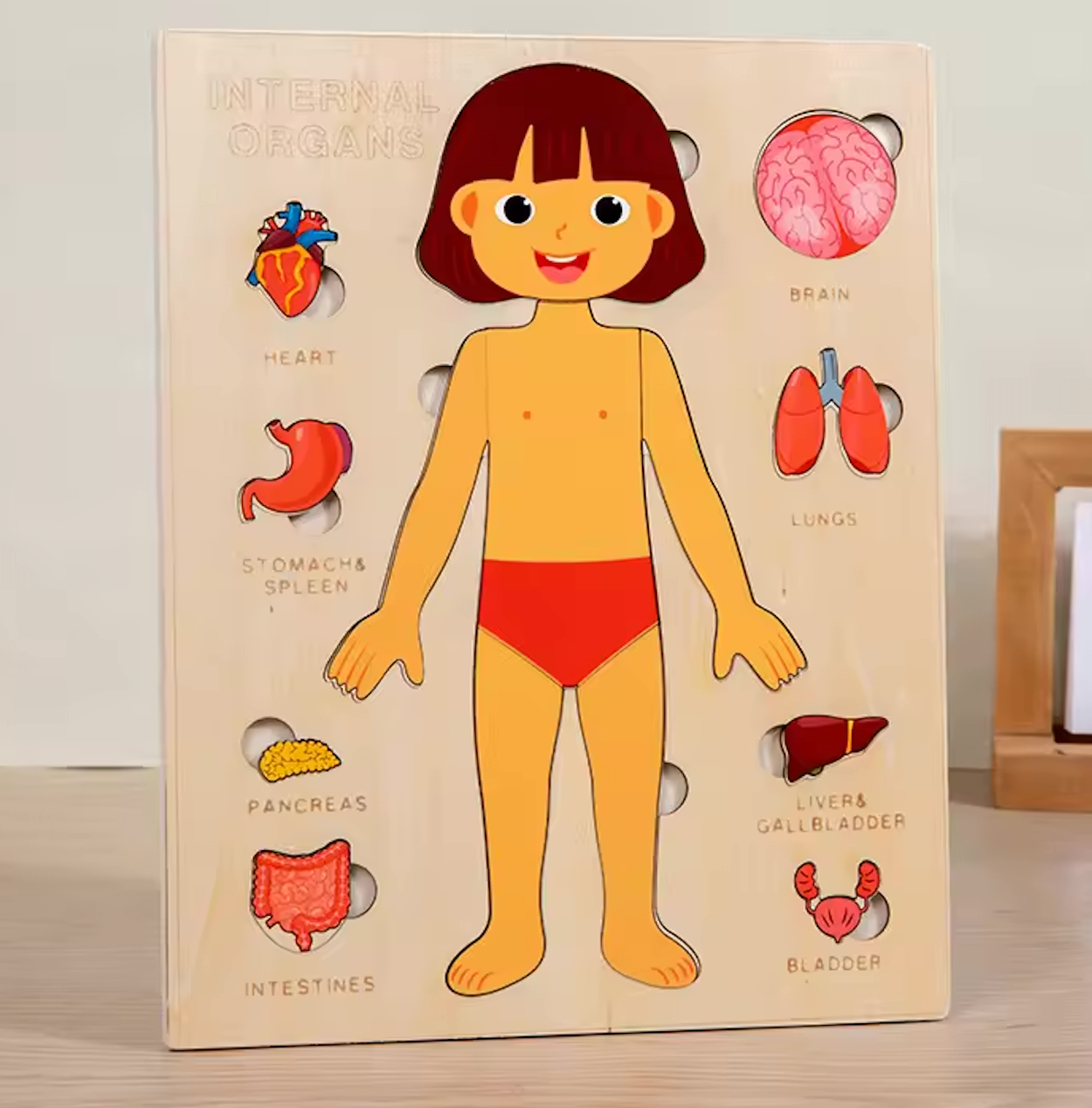 Explora el Cuerpo Humano: Puzzle Anatómico Montessori (Niña)
