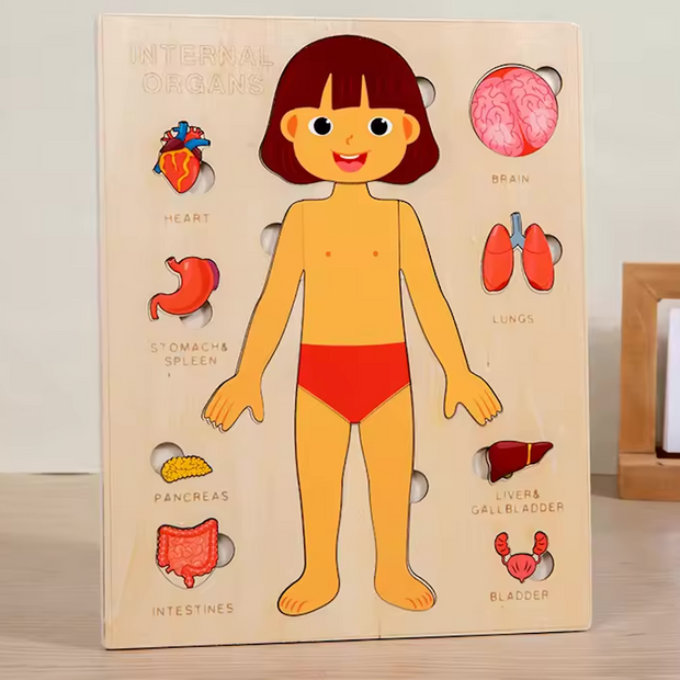 Explora el Cuerpo Humano: Puzzle Anatómico Montessori (Niña)
