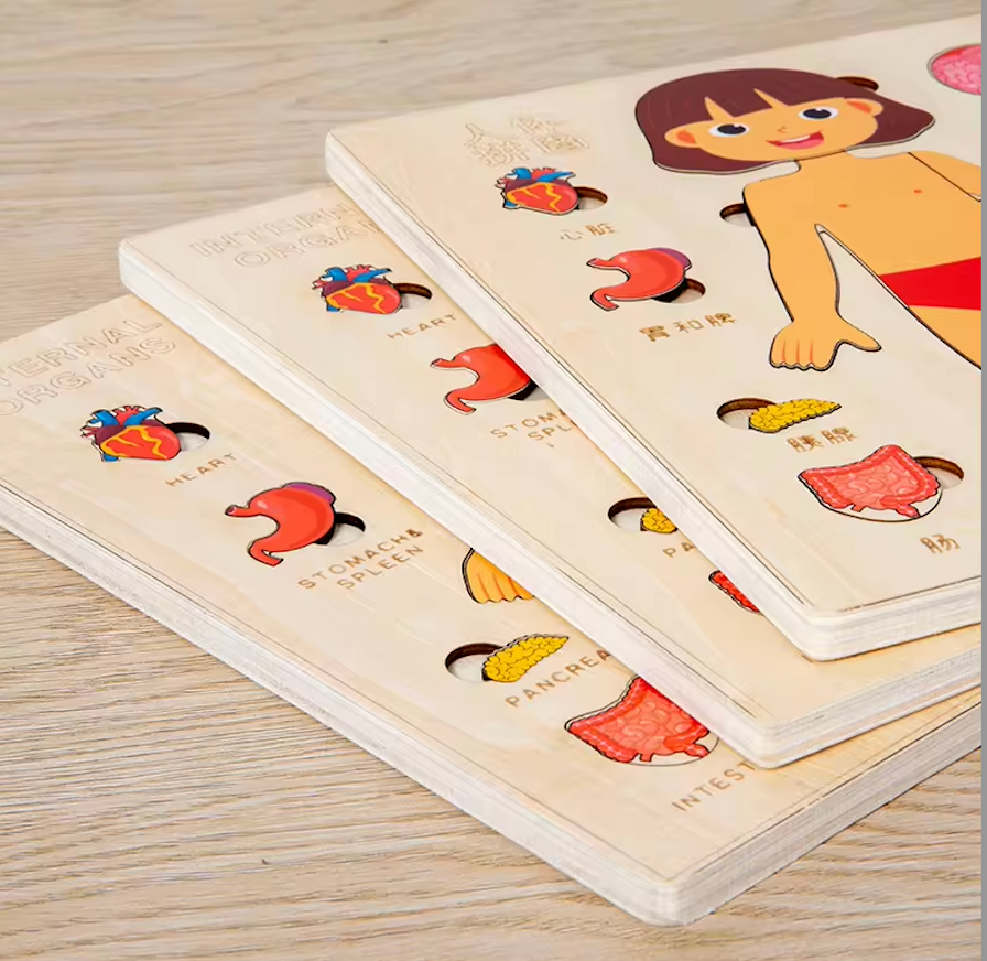 Explora el Cuerpo Humano: Puzzle Anatómico Montessori (Niña)