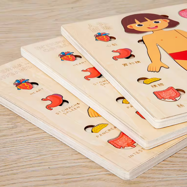 Explora el Cuerpo Humano: Puzzle Anatómico Montessori (Niña)