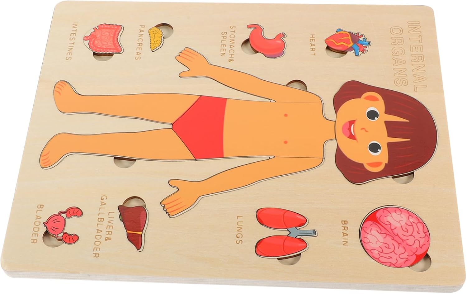 Explora el Cuerpo Humano: Puzzle Anatómico Montessori (Niña)