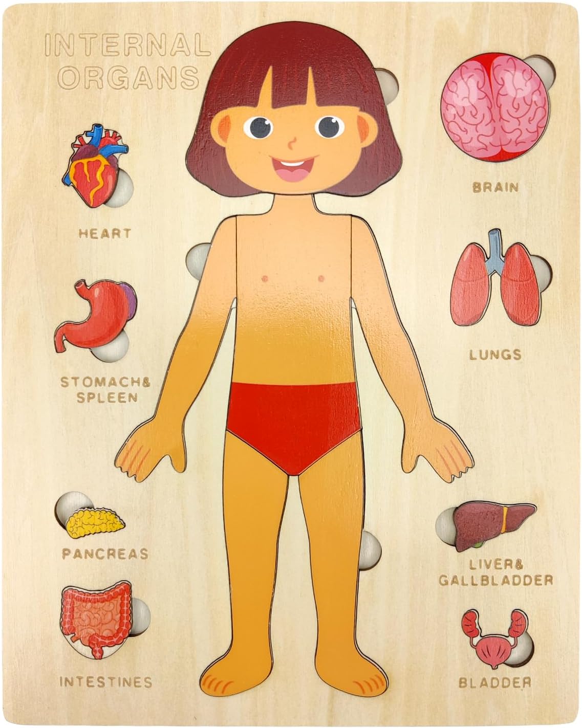 Explora el Cuerpo Humano: Puzzle Anatómico Montessori (Niña)