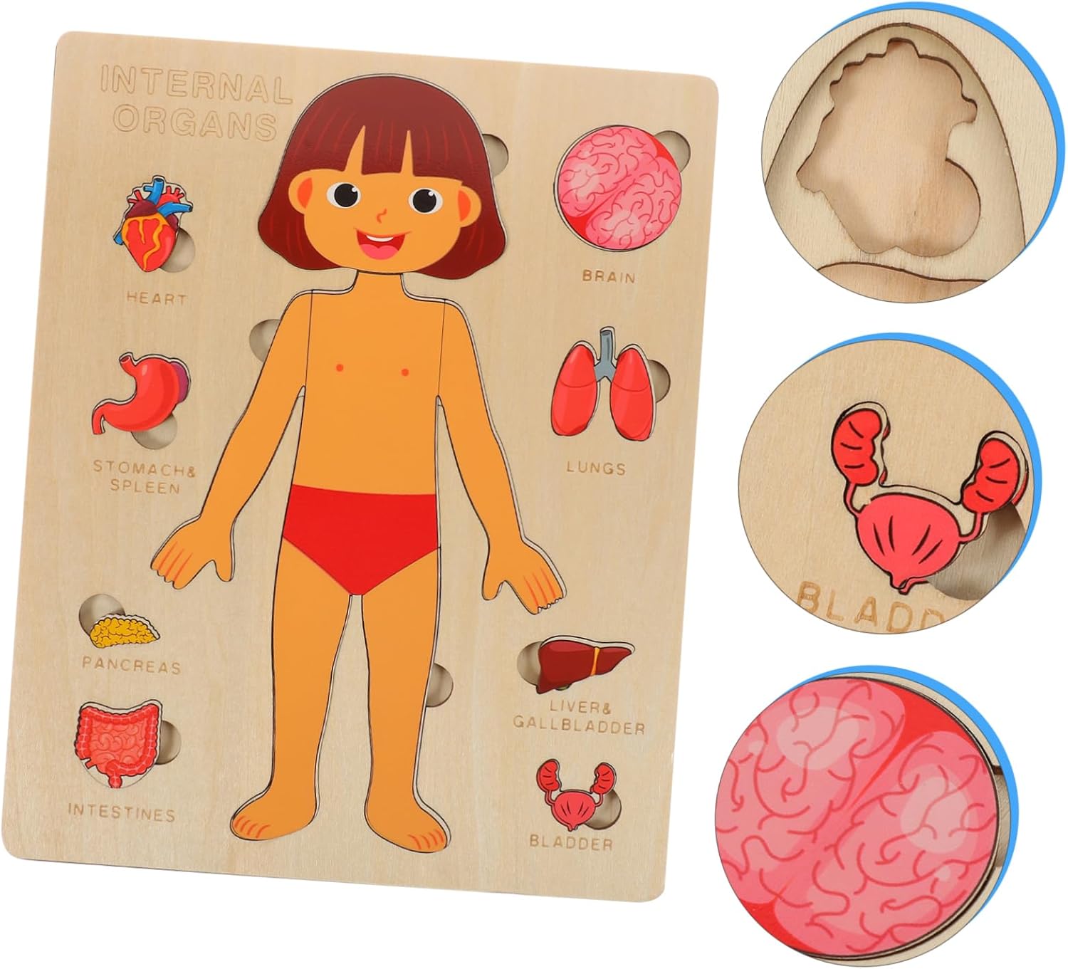 Explora el Cuerpo Humano: Puzzle Anatómico Montessori (Niña)