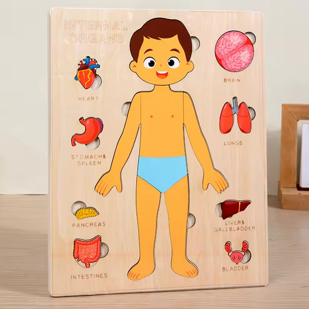 Explora el Cuerpo Humano: Puzzle Anatómico Montessori (Niño)